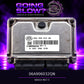 Goingslow ECU 06A906032QN artwork