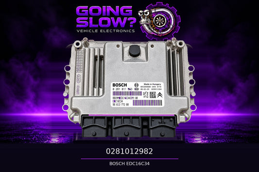 Goingslow ECU 0281012982 artwork
